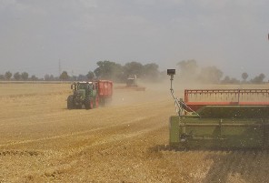Weizenernte Bauer Hauser Weizenernte Bauer Hauser
